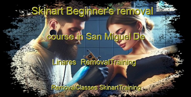 Skinart Beginner's removal course in San Miguel De Linares | #RemovalTraining #RemovalClasses #SkinartTraining-Spain