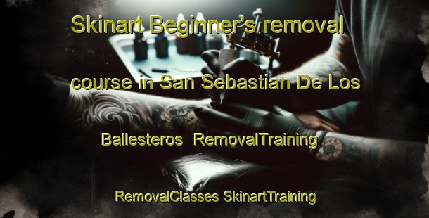 Skinart Beginner's removal course in San Sebastian De Los Ballesteros | #RemovalTraining #RemovalClasses #SkinartTraining-Spain