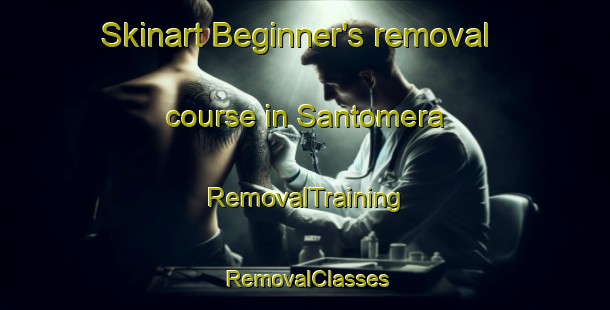 Skinart Beginner's removal course in Santomera | RemovalTraining | RemovalClasses | SkinartTraining-Spain