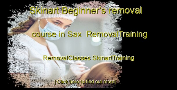 Skinart Beginner's removal course in Sax | #RemovalTraining #RemovalClasses #SkinartTraining-Spain