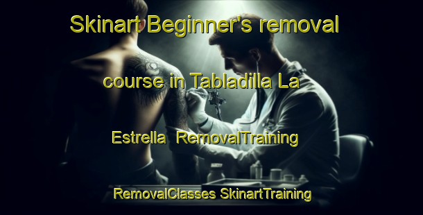 Skinart Beginner's removal course in Tabladilla La Estrella | #RemovalTraining #RemovalClasses #SkinartTraining-Spain