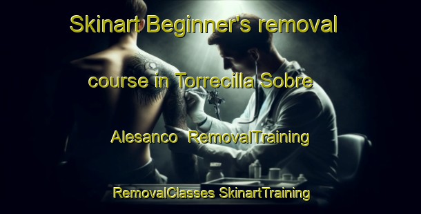 Skinart Beginner's removal course in Torrecilla Sobre Alesanco | #RemovalTraining #RemovalClasses #SkinartTraining-Spain