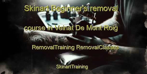 Skinart Beginner's removal course in Veinat De Mont Roig | #RemovalTraining #RemovalClasses #SkinartTraining-Spain