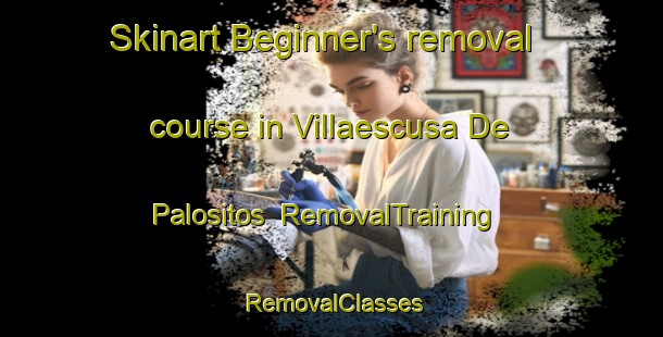 Skinart Beginner's removal course in Villaescusa De Palositos | RemovalTraining | RemovalClasses | SkinartTraining-Spain