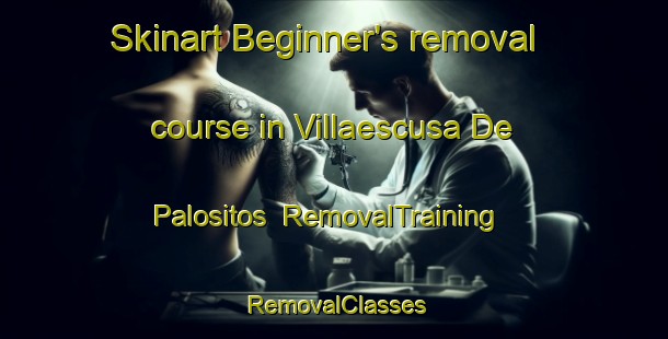 Skinart Beginner's removal course in Villaescusa De Palositos | RemovalTraining | RemovalClasses | SkinartTraining-Spain