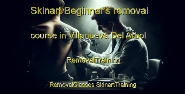 Skinart Beginner's removal course in Villanueva Del Arbol | #RemovalTraining #RemovalClasses #SkinartTraining-Spain