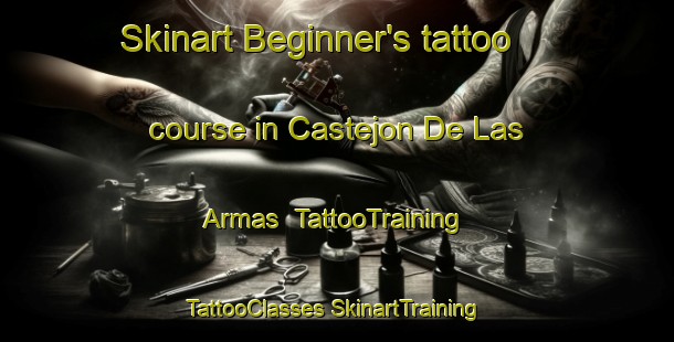 Skinart Beginner's tattoo course in Castejon De Las Armas | #TattooTraining #TattooClasses #SkinartTraining-Spain