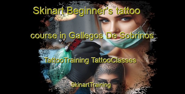 Skinart Beginner's tattoo course in Gallegos De Sobrinos | #TattooTraining #TattooClasses #SkinartTraining-Spain