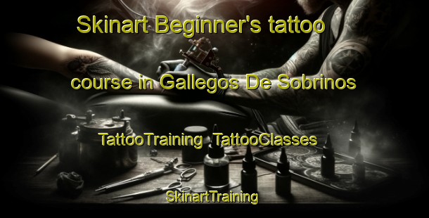 Skinart Beginner's tattoo course in Gallegos De Sobrinos | TattooTraining | TattooClasses | SkinartTraining-Spain