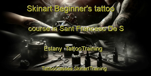 Skinart Beginner's tattoo course in Sant Francesc De S Estany | #TattooTraining #TattooClasses #SkinartTraining-Spain