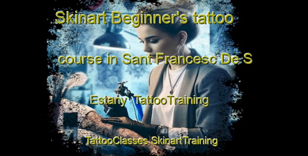 Skinart Beginner's tattoo course in Sant Francesc De S Estany | #TattooTraining #TattooClasses #SkinartTraining-Spain