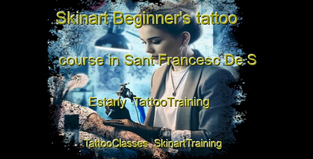 Skinart Beginner's tattoo course in Sant Francesc De S Estany | TattooTraining | TattooClasses | SkinartTraining-Spain
