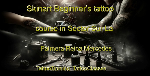 Skinart Beginner's tattoo course in Sector Sur La Palmera Reina Mercedes | TattooTraining | TattooClasses | SkinartTraining-Spain
