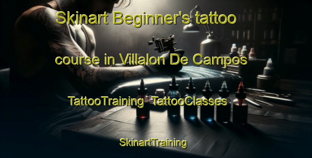 Skinart Beginner's tattoo course in Villalon De Campos | TattooTraining | TattooClasses | SkinartTraining-Spain