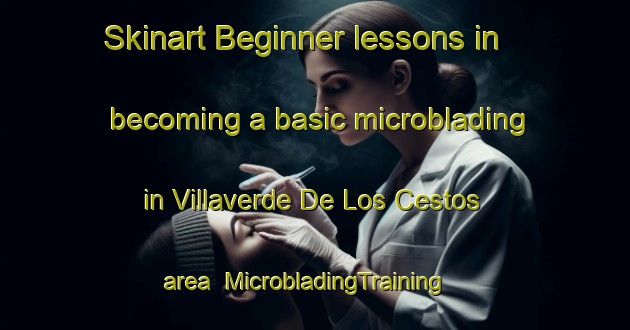 Skinart Beginner lessons in becoming a basic microblading in Villaverde De Los Cestos area | MicrobladingTraining | MicrobladingClasses | SkinartTraining-Spain