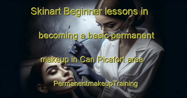 Skinart Beginner lessons in becoming a basic permanent makeup in Can Picafort area | PermanentmakeupTraining | PermanentmakeupClasses | SkinartTraining-Spain