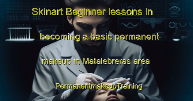 Skinart Beginner lessons in becoming a basic permanent makeup in Matalebreras area | PermanentmakeupTraining | PermanentmakeupClasses | SkinartTraining-Spain