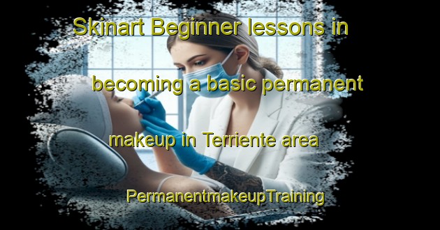 Skinart Beginner lessons in becoming a basic permanent makeup in Terriente area | PermanentmakeupTraining | PermanentmakeupClasses | SkinartTraining-Spain