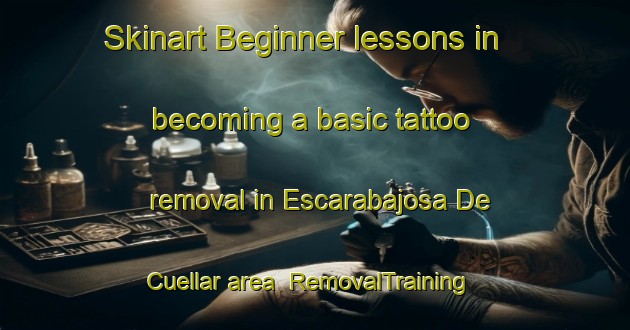 Skinart Beginner lessons in becoming a basic tattoo removal in Escarabajosa De Cuellar area | RemovalTraining | RemovalClasses | SkinartTraining-Spain