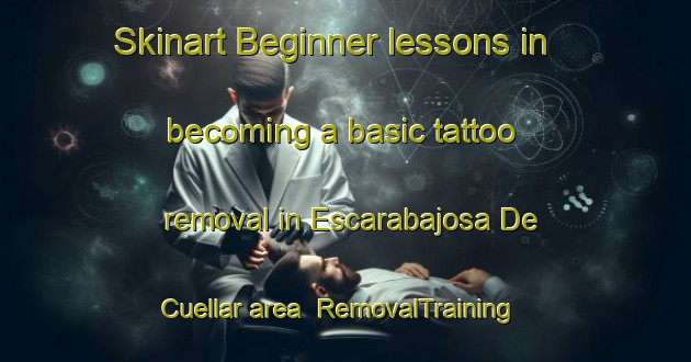 Skinart Beginner lessons in becoming a basic tattoo removal in Escarabajosa De Cuellar area | RemovalTraining | RemovalClasses | SkinartTraining-Spain