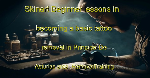 Skinart Beginner lessons in becoming a basic tattoo removal in Principe De Asturias area | RemovalTraining | RemovalClasses | SkinartTraining-Spain