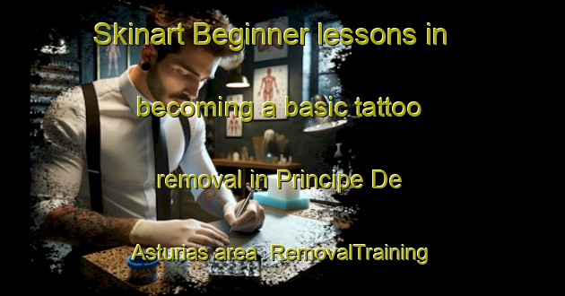 Skinart Beginner lessons in becoming a basic tattoo removal in Principe De Asturias area | RemovalTraining | RemovalClasses | SkinartTraining-Spain
