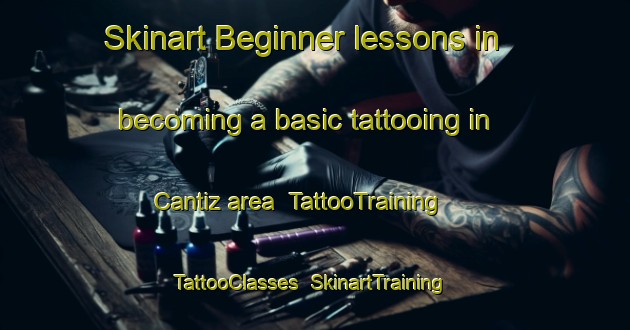 Skinart Beginner lessons in becoming a basic tattooing in Cantiz area | TattooTraining | TattooClasses | SkinartTraining-Spain