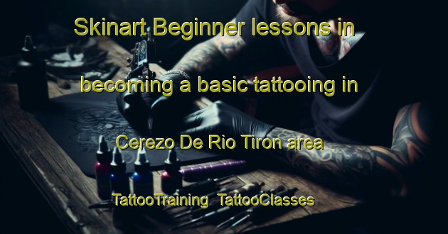 Skinart Beginner lessons in becoming a basic tattooing in Cerezo De Rio Tiron area | TattooTraining | TattooClasses | SkinartTraining-Spain