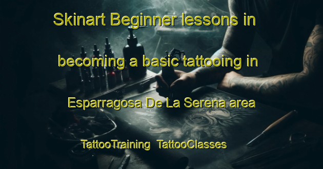 Skinart Beginner lessons in becoming a basic tattooing in Esparragosa De La Serena area | TattooTraining | TattooClasses | SkinartTraining-Spain