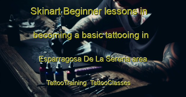 Skinart Beginner lessons in becoming a basic tattooing in Esparragosa De La Serena area | TattooTraining | TattooClasses | SkinartTraining-Spain