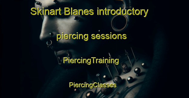 Skinart Blanes introductory piercing sessions | PiercingTraining | PiercingClasses | SkinartTraining-Spain