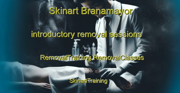 Skinart Branamayor introductory removal sessions | #RemovalTraining #RemovalClasses #SkinartTraining-Spain