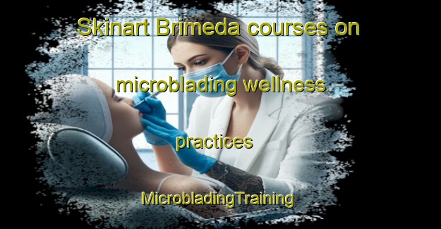 Skinart Brimeda courses on microblading wellness practices | #MicrobladingTraining #MicrobladingClasses #SkinartTraining-Spain