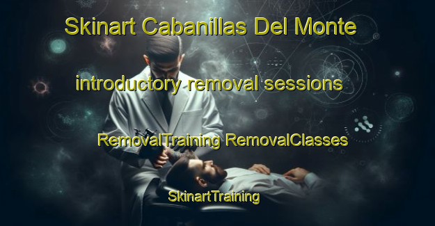 Skinart Cabanillas Del Monte introductory removal sessions | #RemovalTraining #RemovalClasses #SkinartTraining-Spain