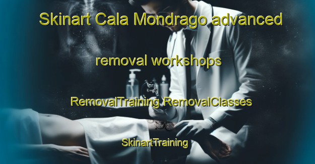 Skinart Cala Mondrago advanced removal workshops | #RemovalTraining #RemovalClasses #SkinartTraining-Spain