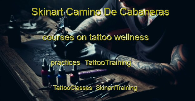Skinart Camino De Cabaneras courses on tattoo wellness practices | TattooTraining | TattooClasses | SkinartTraining-Spain