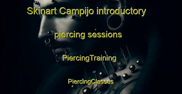 Skinart Campijo introductory piercing sessions | #PiercingTraining #PiercingClasses #SkinartTraining-Spain