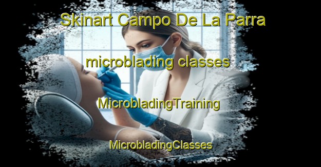 Skinart Campo De La Parra microblading classes | #MicrobladingTraining #MicrobladingClasses #SkinartTraining-Spain