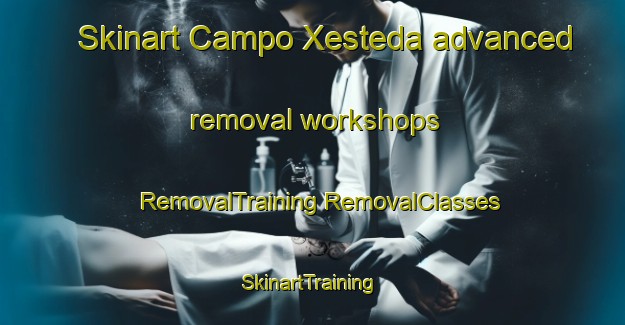 Skinart Campo Xesteda advanced removal workshops | #RemovalTraining #RemovalClasses #SkinartTraining-Spain