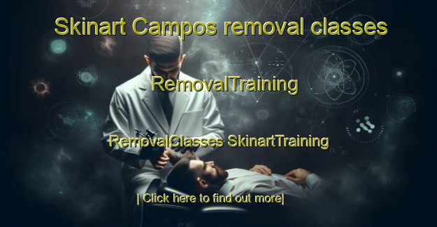 Skinart Campos removal classes | #RemovalTraining #RemovalClasses #SkinartTraining-Spain