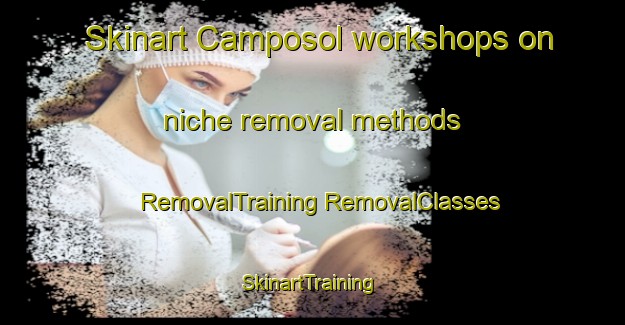 Skinart Camposol workshops on niche removal methods | #RemovalTraining #RemovalClasses #SkinartTraining-Spain