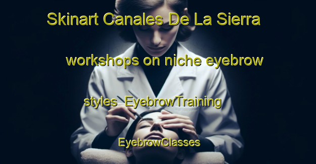 Skinart Canales De La Sierra workshops on niche eyebrow styles | EyebrowTraining | EyebrowClasses | SkinartTraining-Spain
