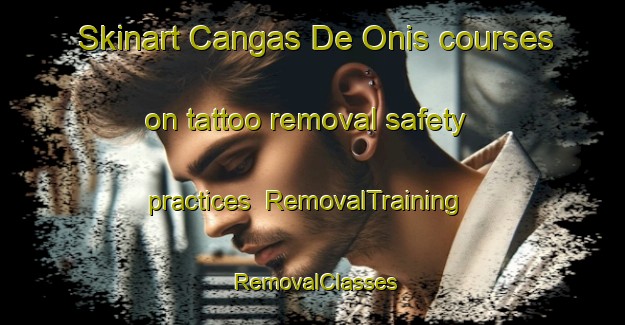 Skinart Cangas De Onis courses on tattoo removal safety practices | RemovalTraining | RemovalClasses | SkinartTraining-Spain