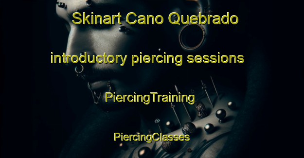 Skinart Cano Quebrado introductory piercing sessions | #PiercingTraining #PiercingClasses #SkinartTraining-Spain