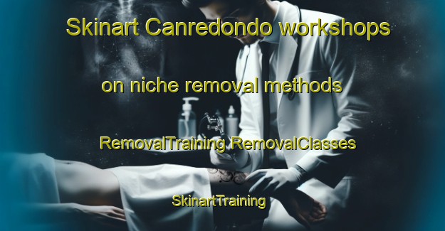 Skinart Canredondo workshops on niche removal methods | #RemovalTraining #RemovalClasses #SkinartTraining-Spain