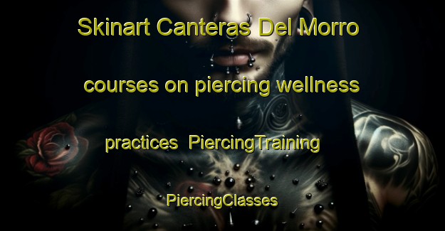 Skinart Canteras Del Morro courses on piercing wellness practices | #PiercingTraining #PiercingClasses #SkinartTraining-Spain