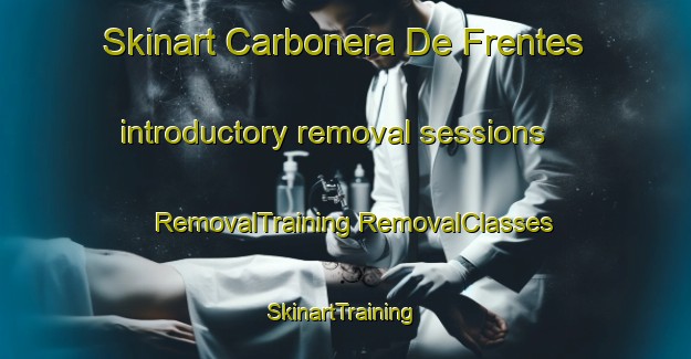 Skinart Carbonera De Frentes introductory removal sessions | #RemovalTraining #RemovalClasses #SkinartTraining-Spain