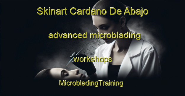 Skinart Cardano De Abajo advanced microblading workshops | #MicrobladingTraining #MicrobladingClasses #SkinartTraining-Spain