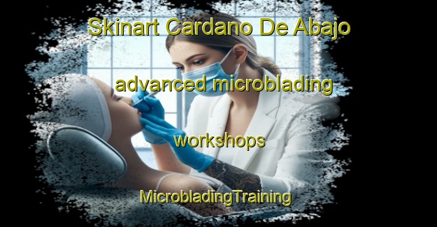 Skinart Cardano De Abajo advanced microblading workshops | #MicrobladingTraining #MicrobladingClasses #SkinartTraining-Spain