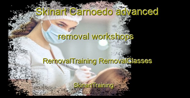 Skinart Carnoedo advanced removal workshops | #RemovalTraining #RemovalClasses #SkinartTraining-Spain